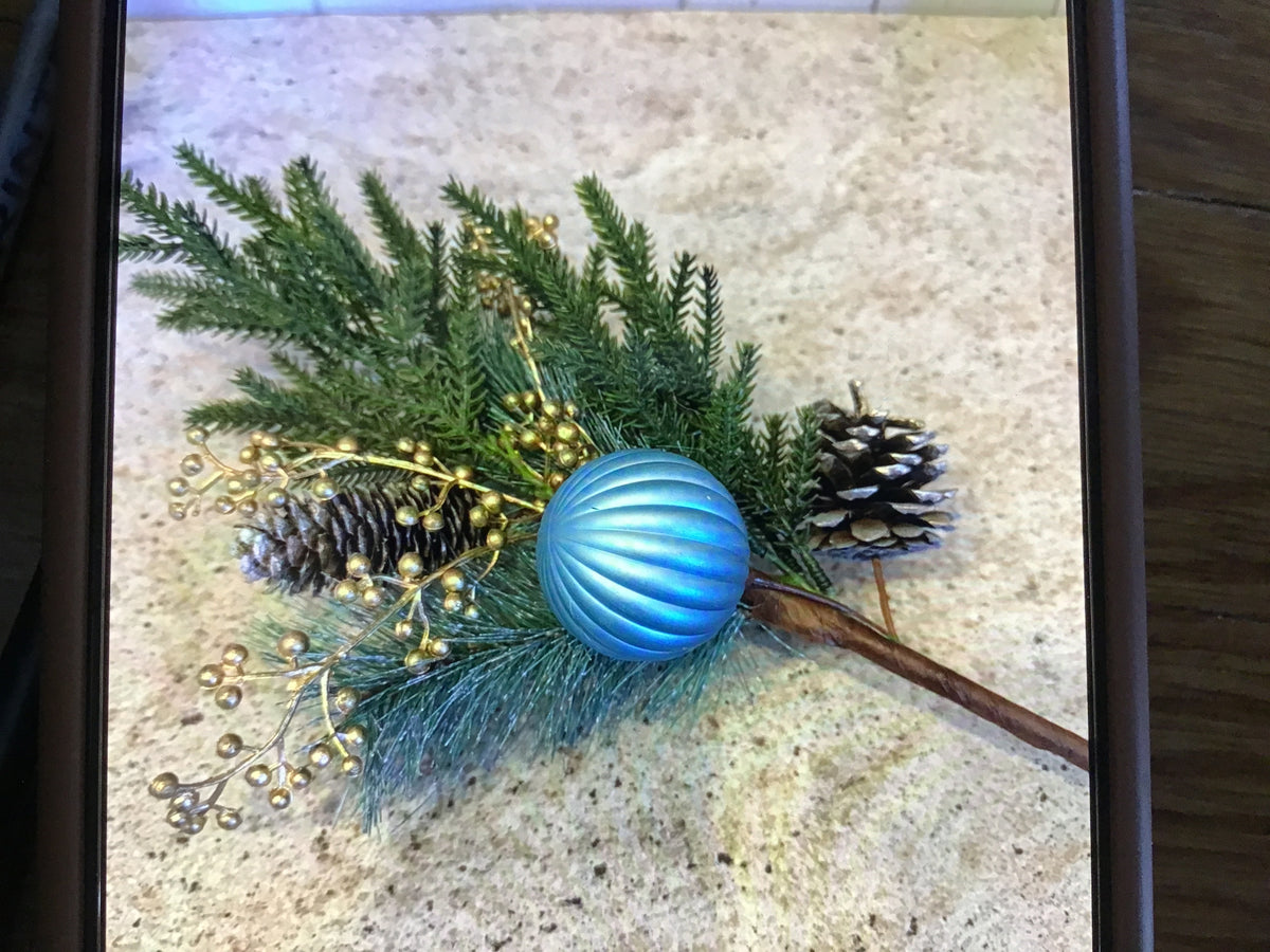 Blue ornament pick