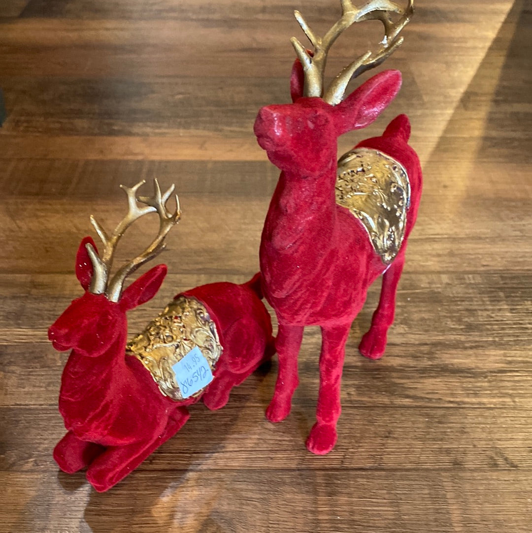 Red and Gold Deer