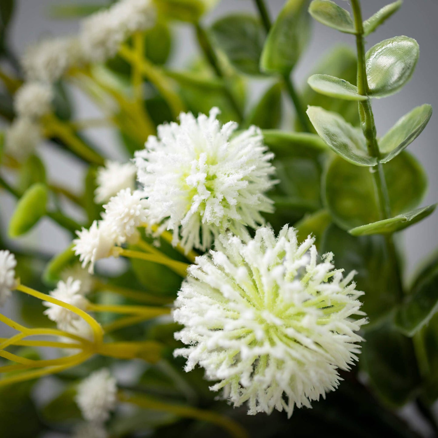 Romantic Eucalyptus Orb