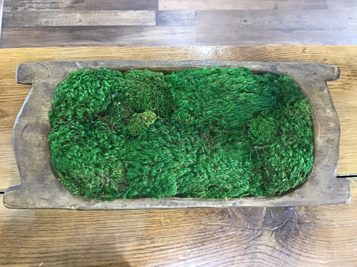 Moss Bowl