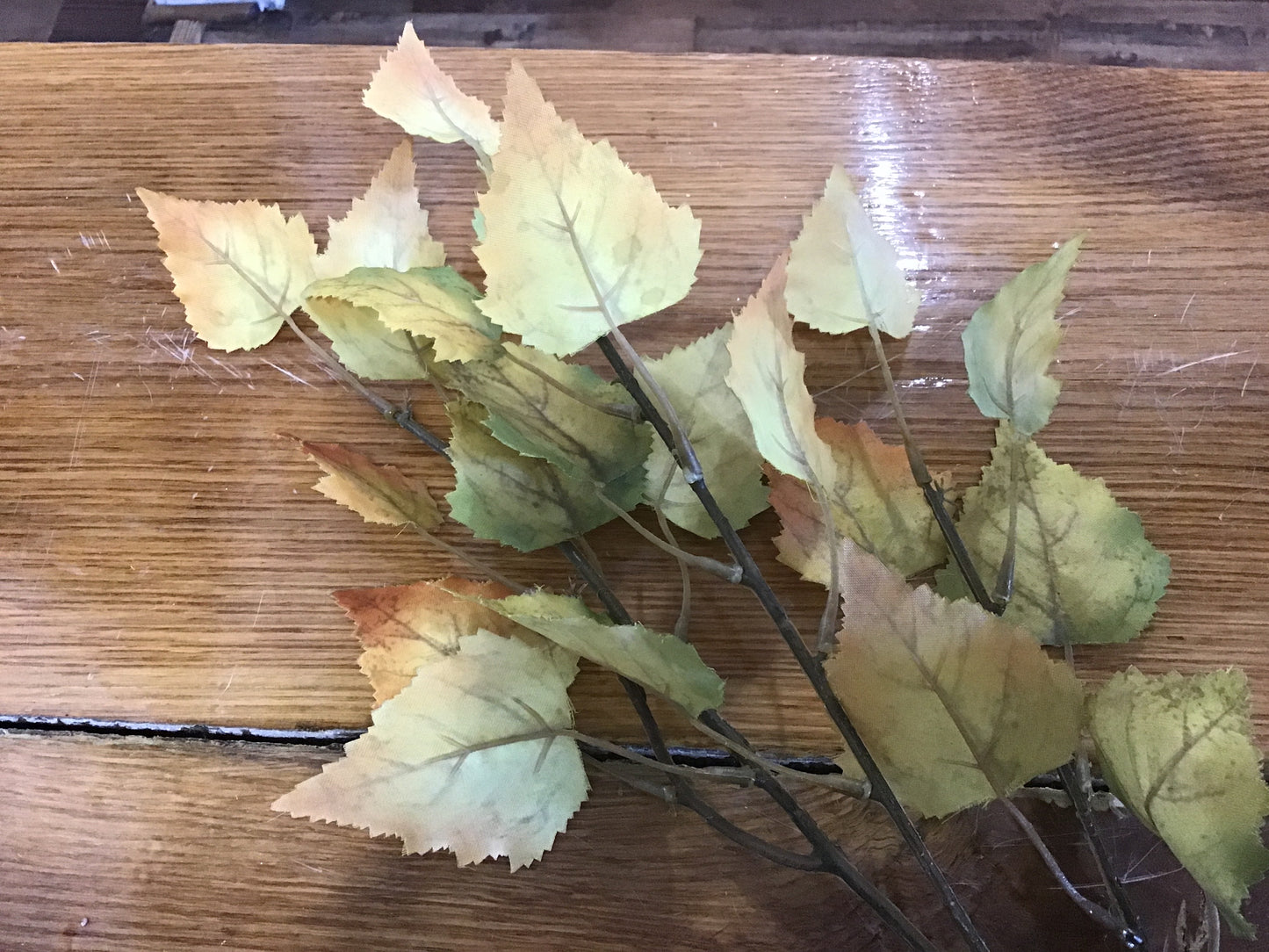 Fall Leaf Spray