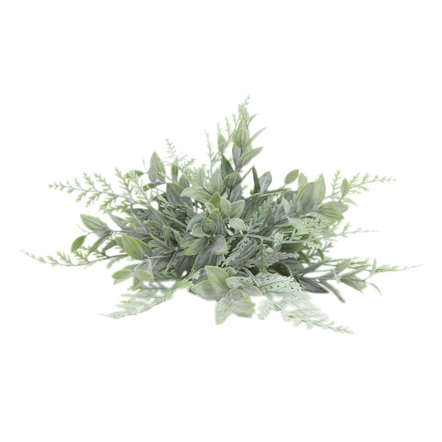 Fern Orb