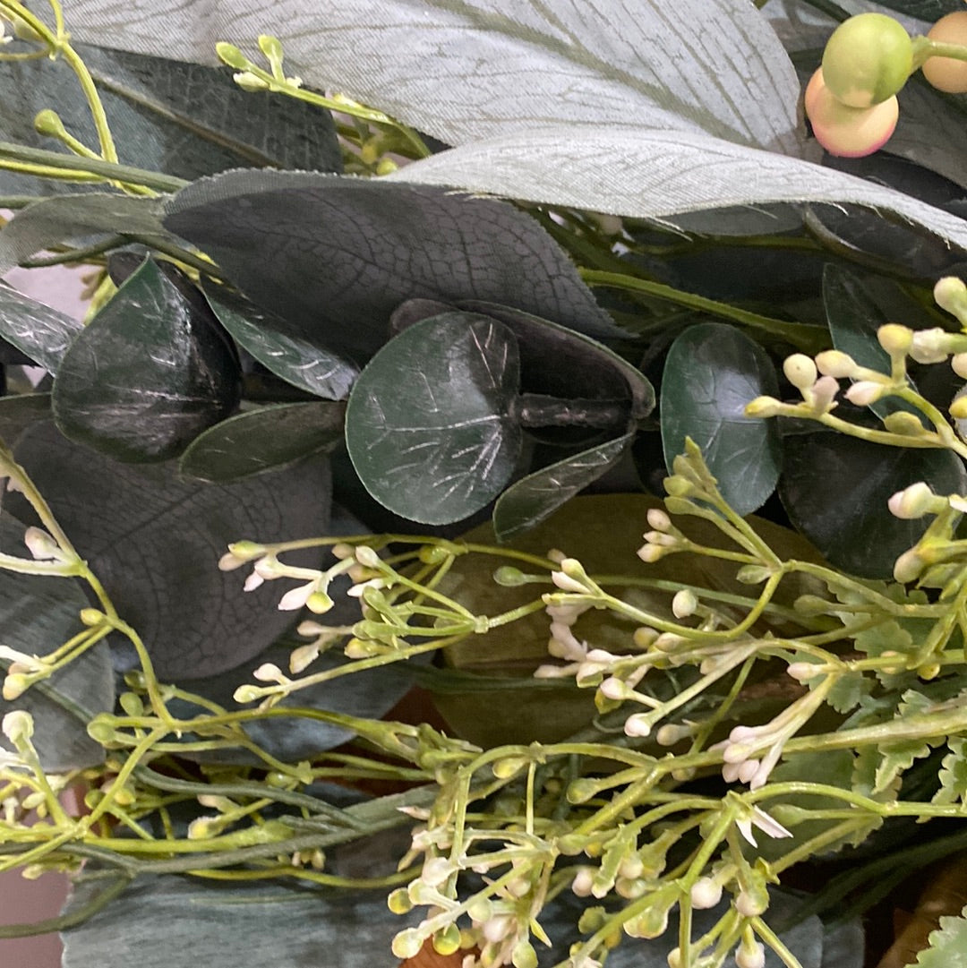 Eucalyptus Berry Bush