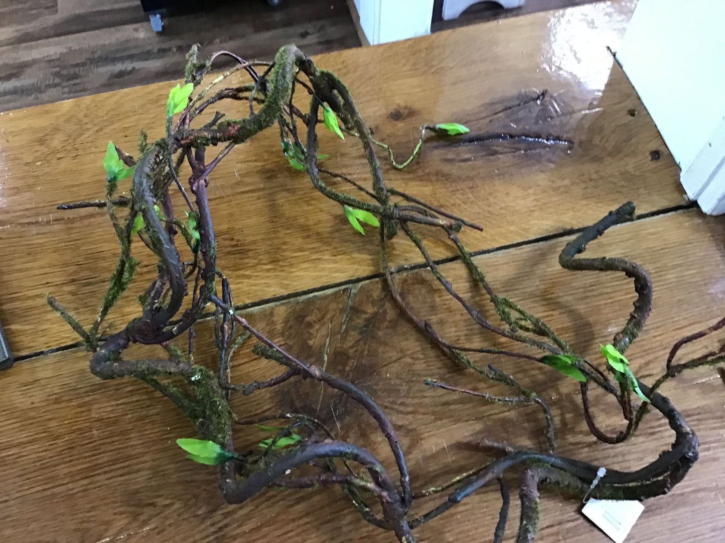 Mossy twig