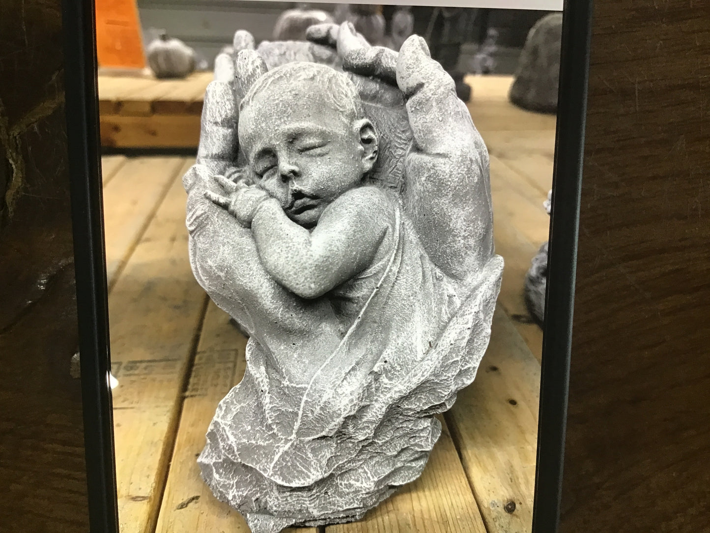 Baby In Hands