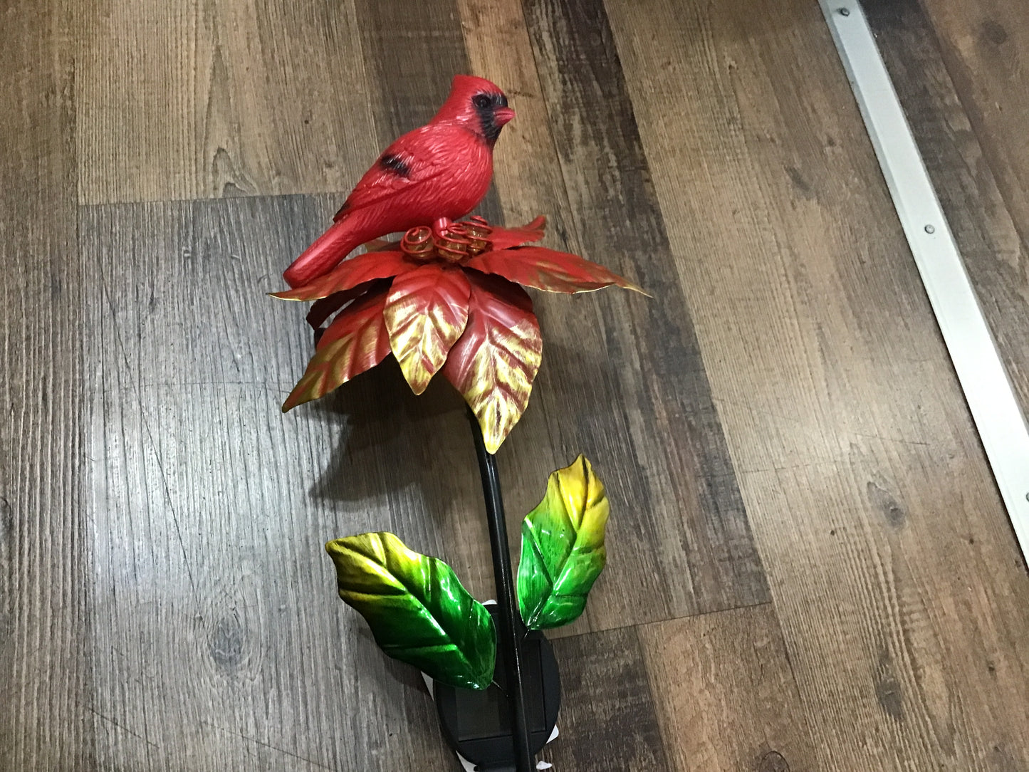 Holiday cardinal solar