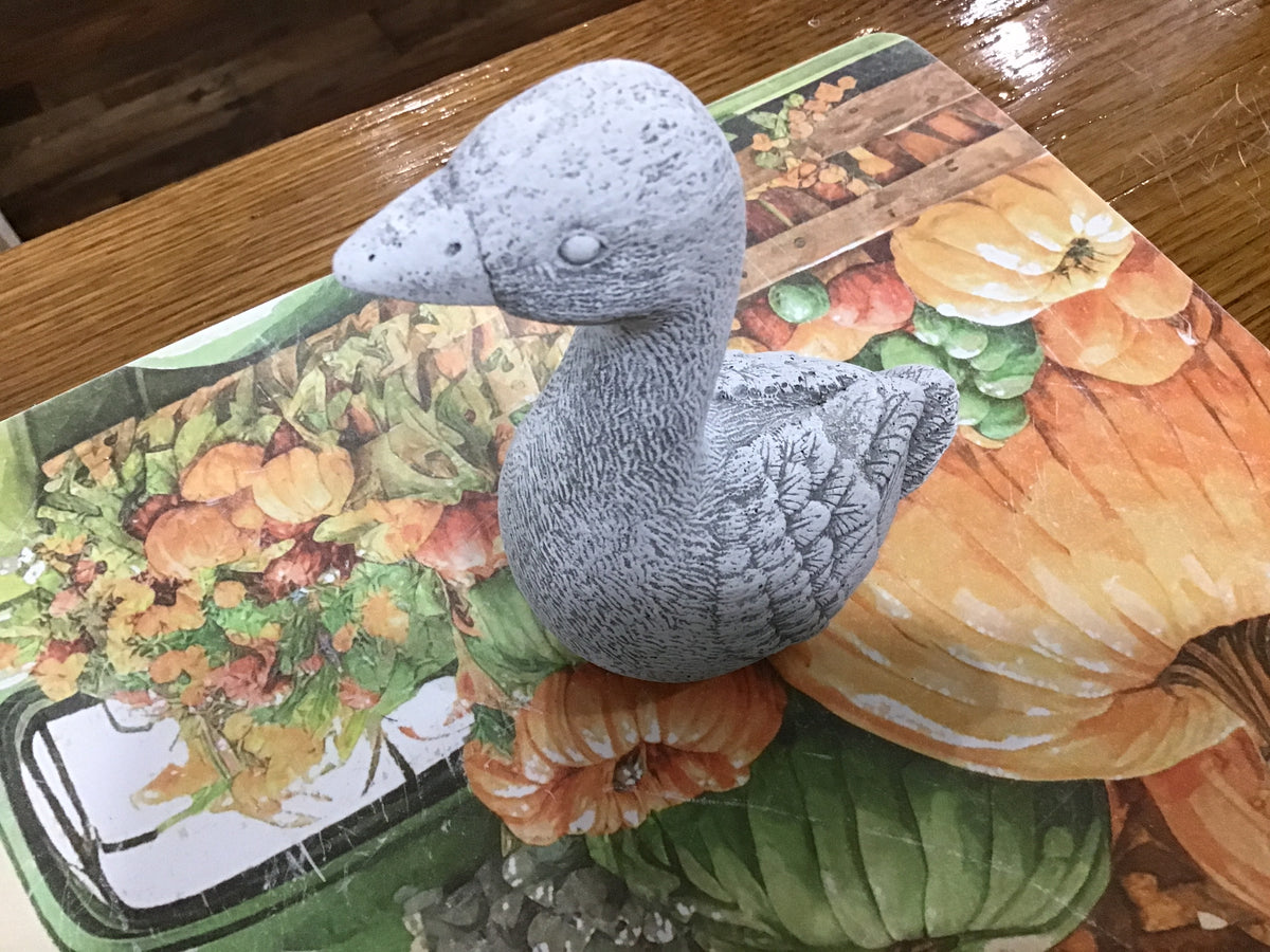 5inch no paint goose
