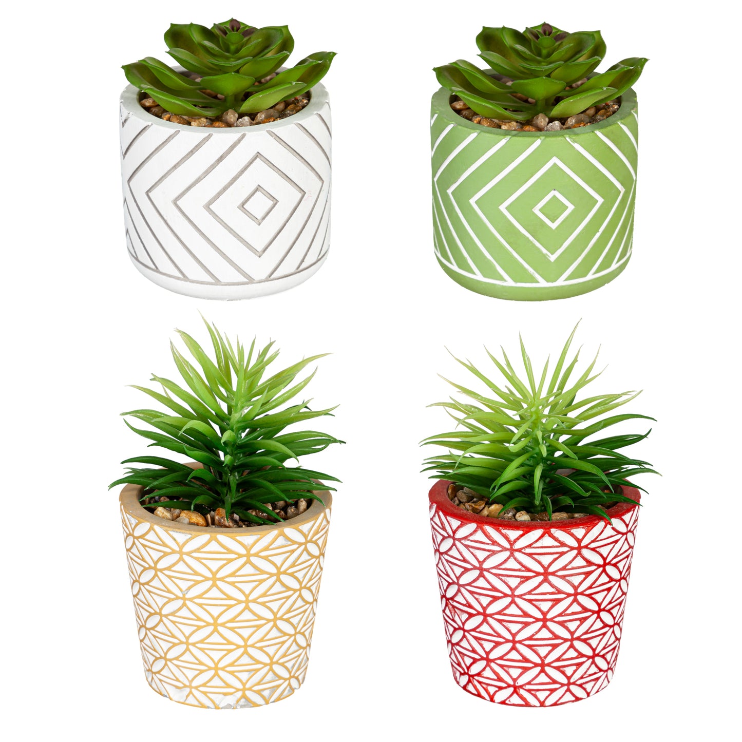 Handpainted Succulent