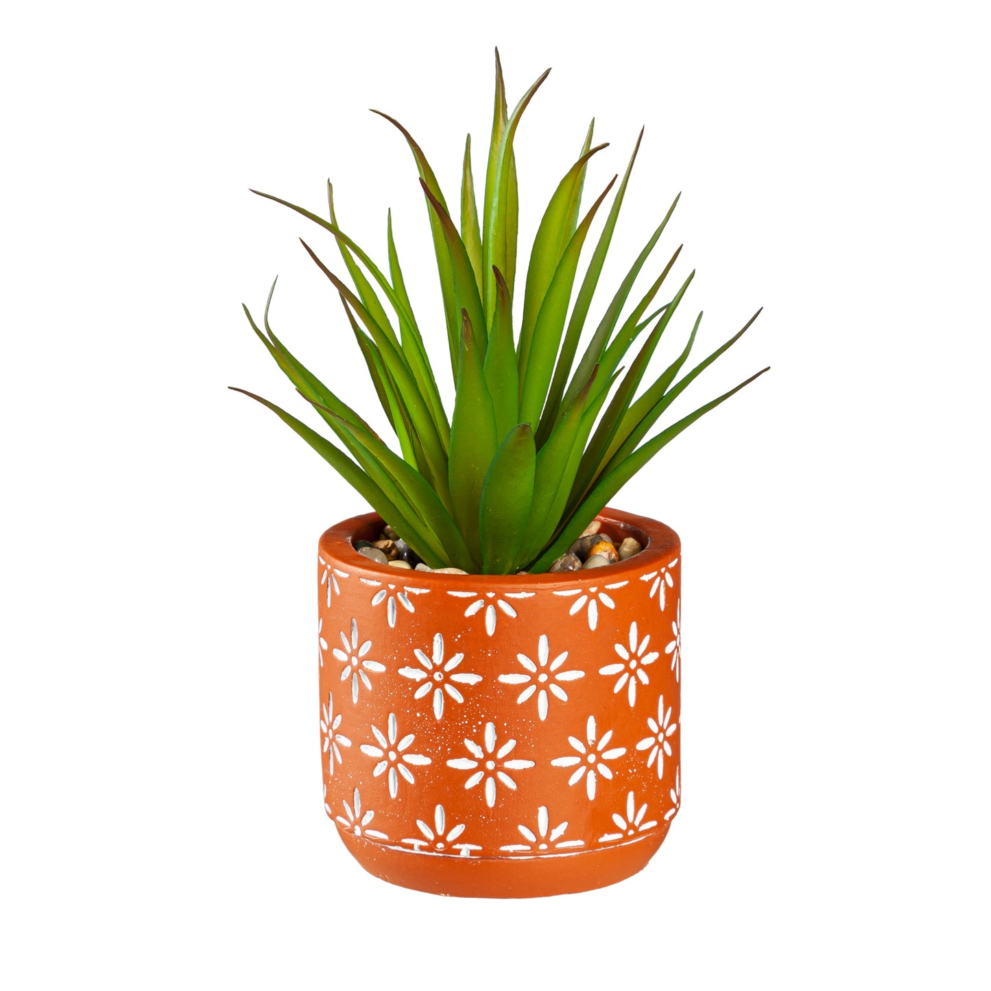 Succulent With Cement Planter