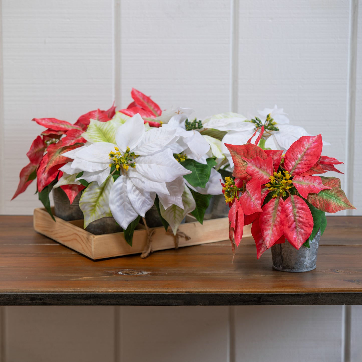 Pink and White Faux Poinsettia in Galvanized Pot