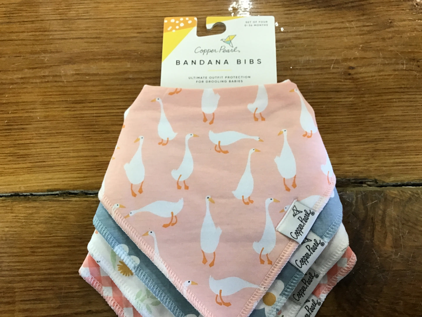 Bandana bib set goodie