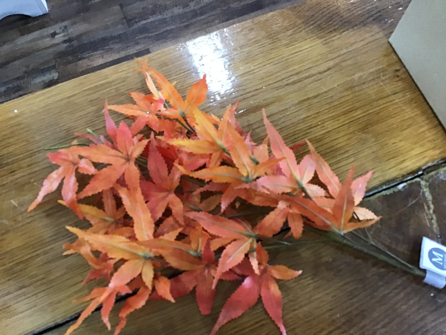 Chinese maple spray