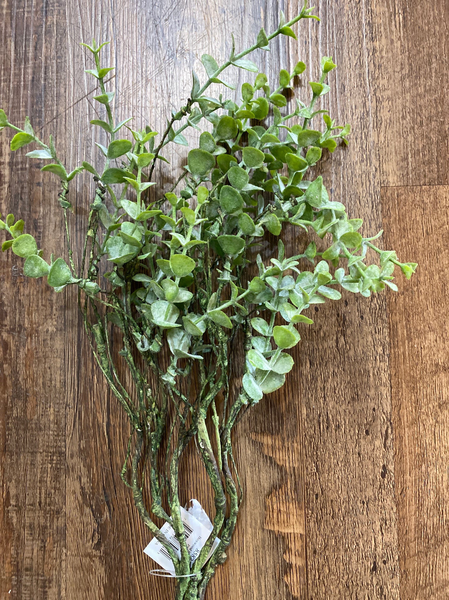 Boxwood Spray