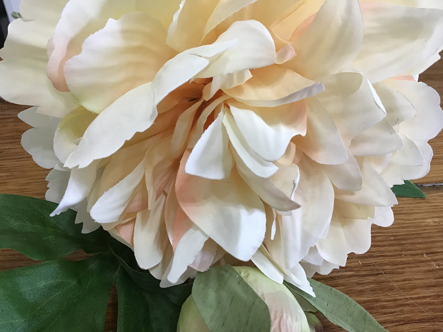 Exhibition peony sorbet