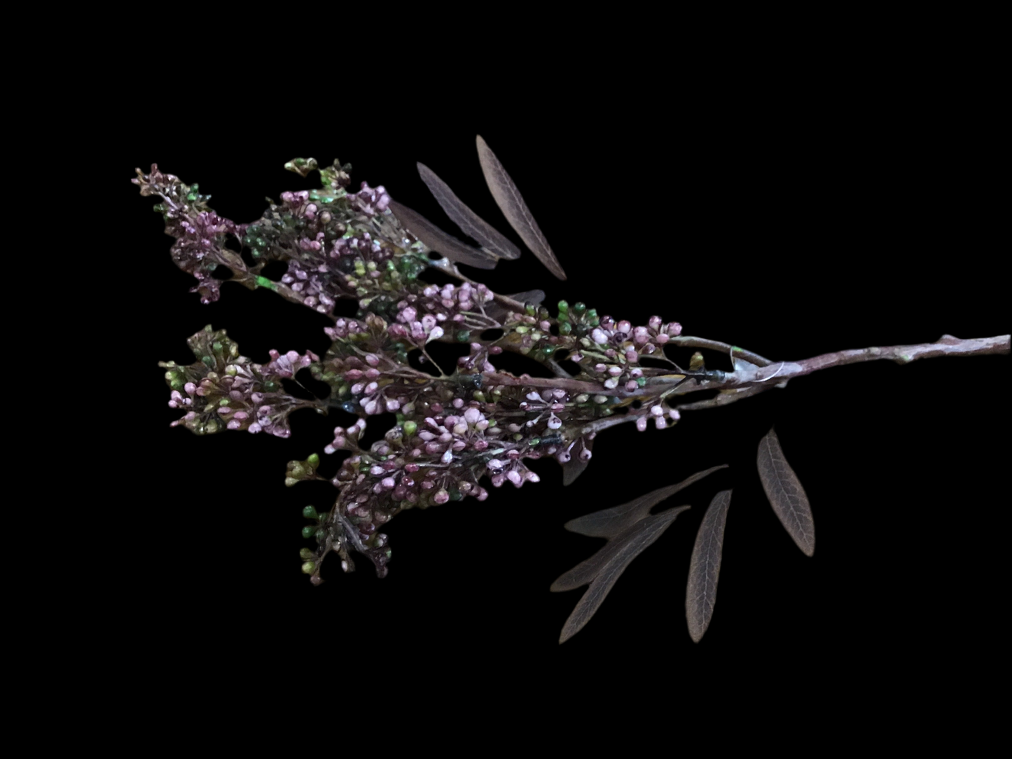 Mini berry cluster spray