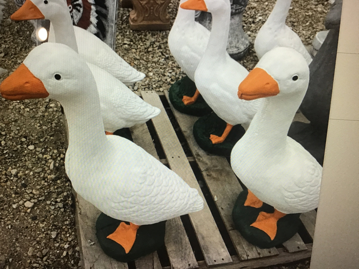 Large Painted Goose