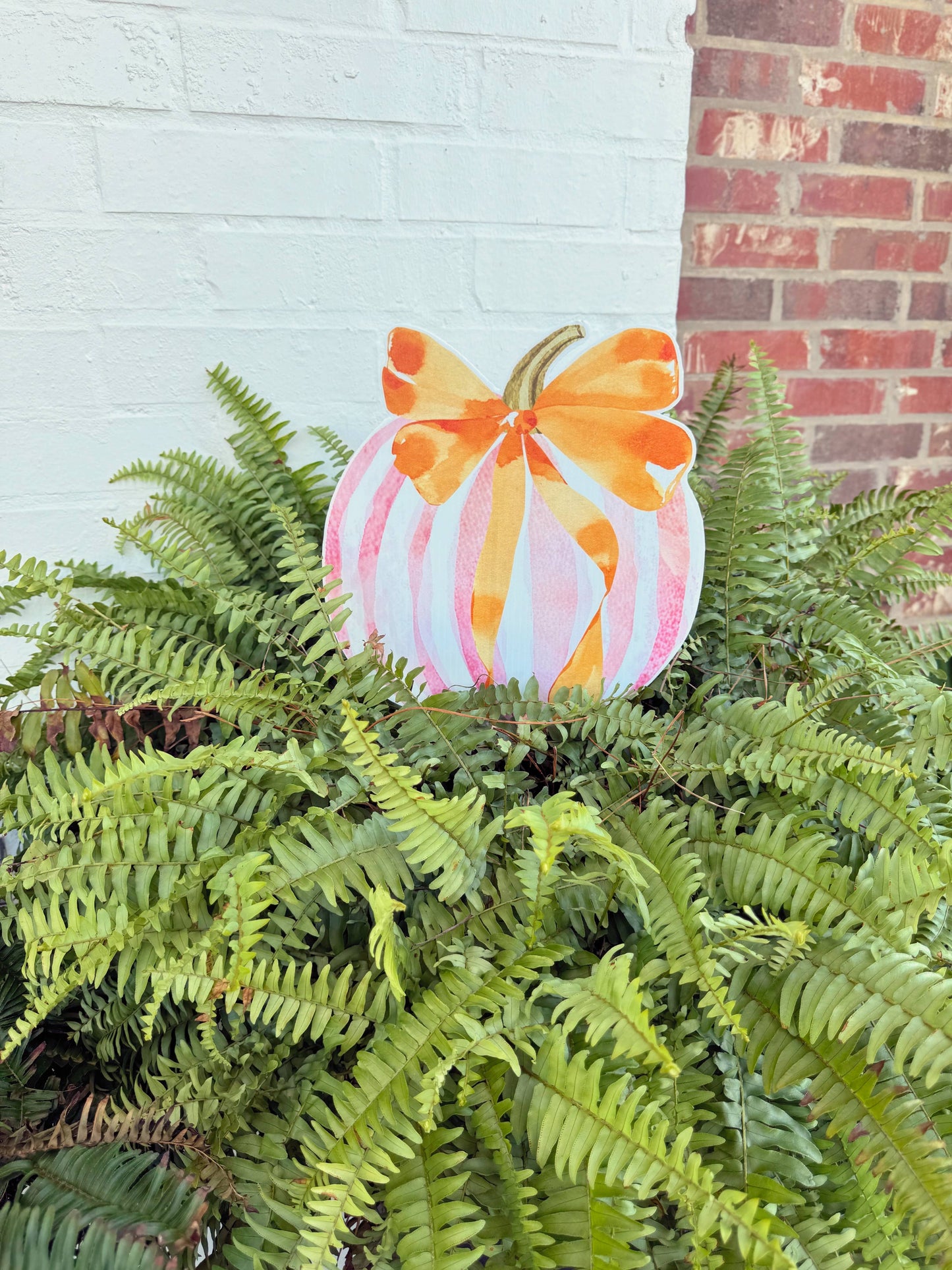 Pink or plaid Stripe Pumpkin two choices 12 inches tall 10 inches wide outdoors