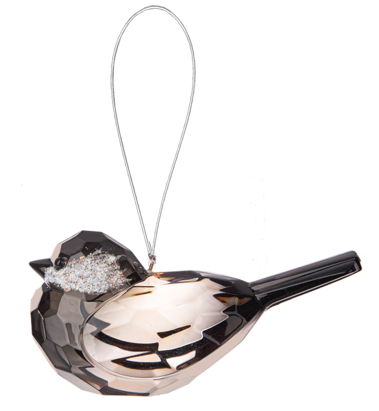 Chickadee Bird