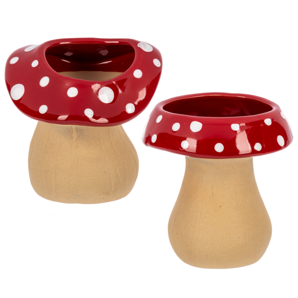 Mushroom Planter
