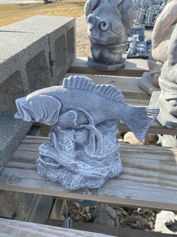 Bass Cement Fish