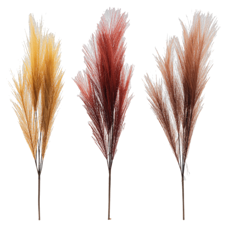 Natural Pampas Grass Pick