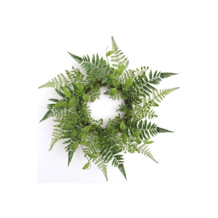 Vine Fern Wreath - 17"