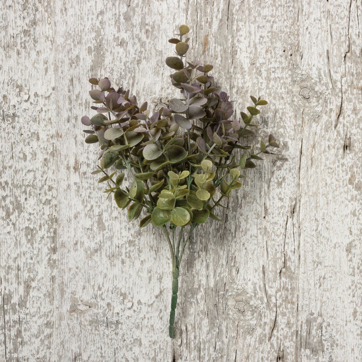 Floral Pick - Eucalyptus Gray