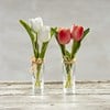Vase - Cream Mini Tulip