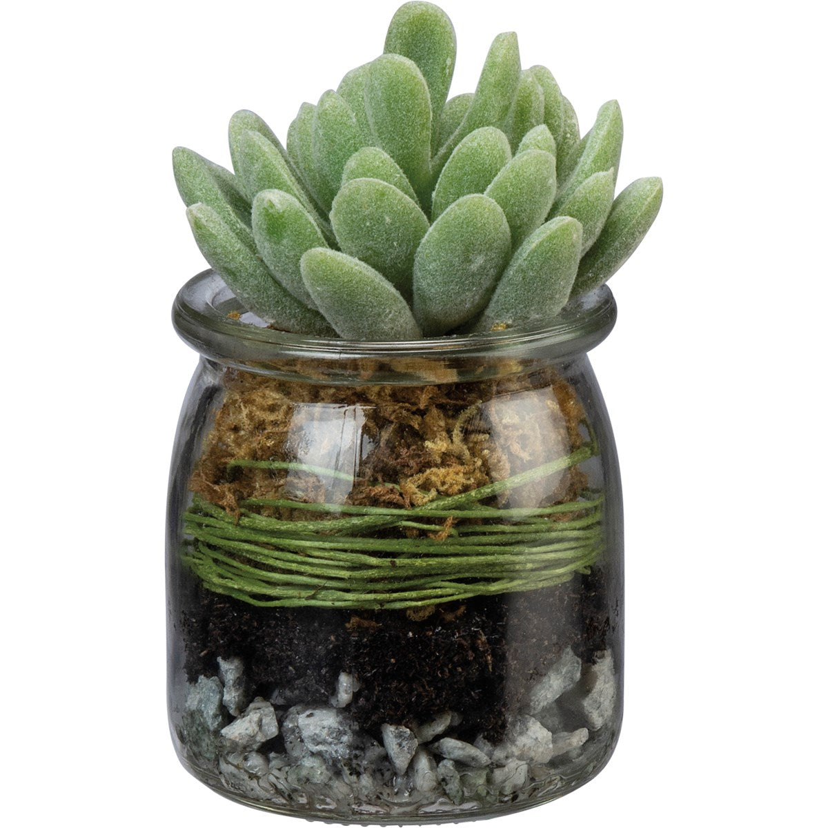 Jar - Jade Succulent