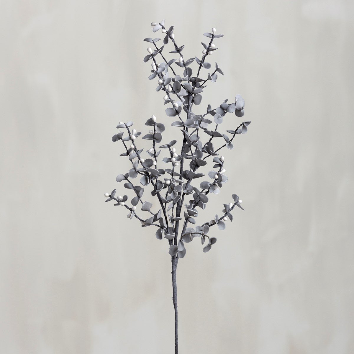 Gray and Cream Berry Pick