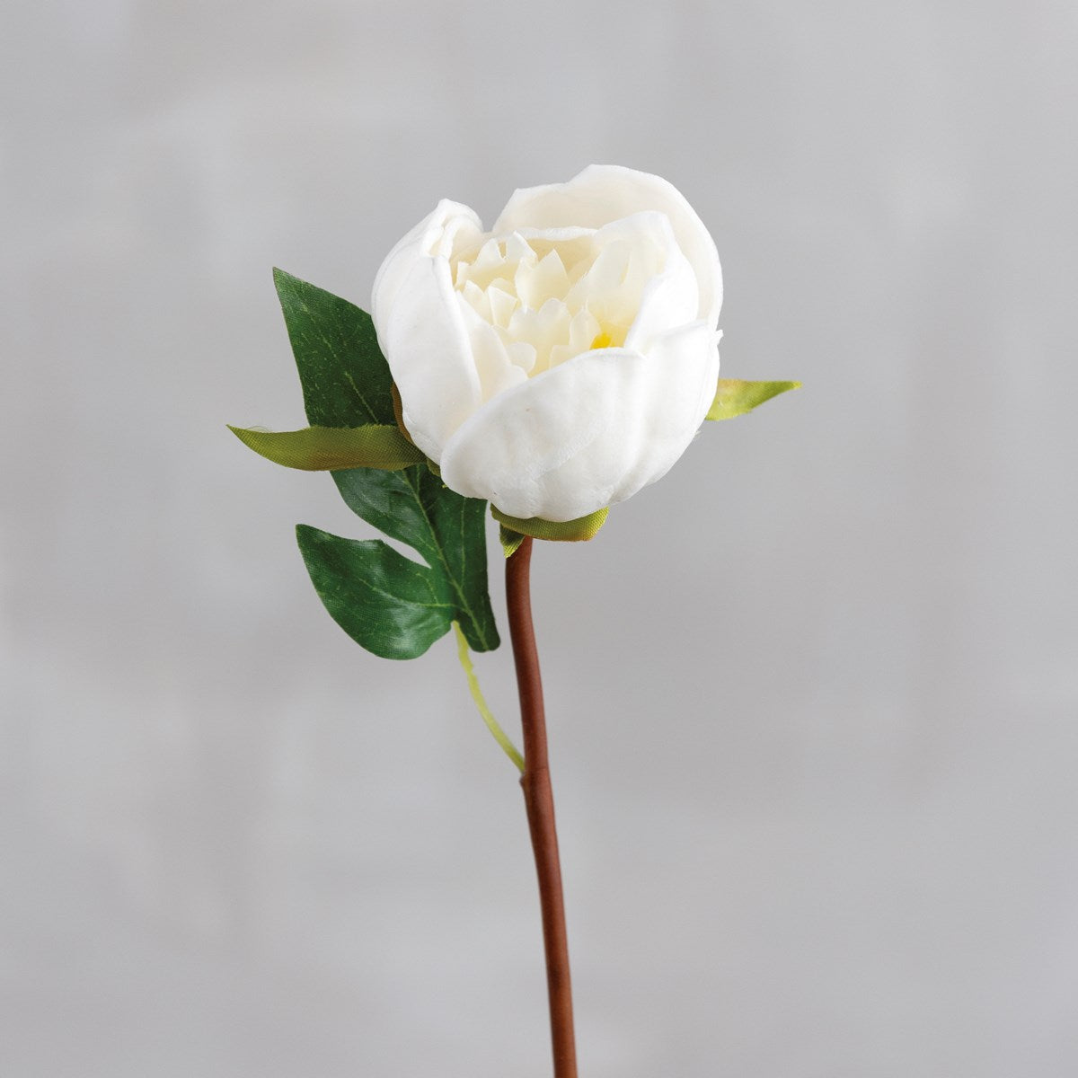 White Peony Pick