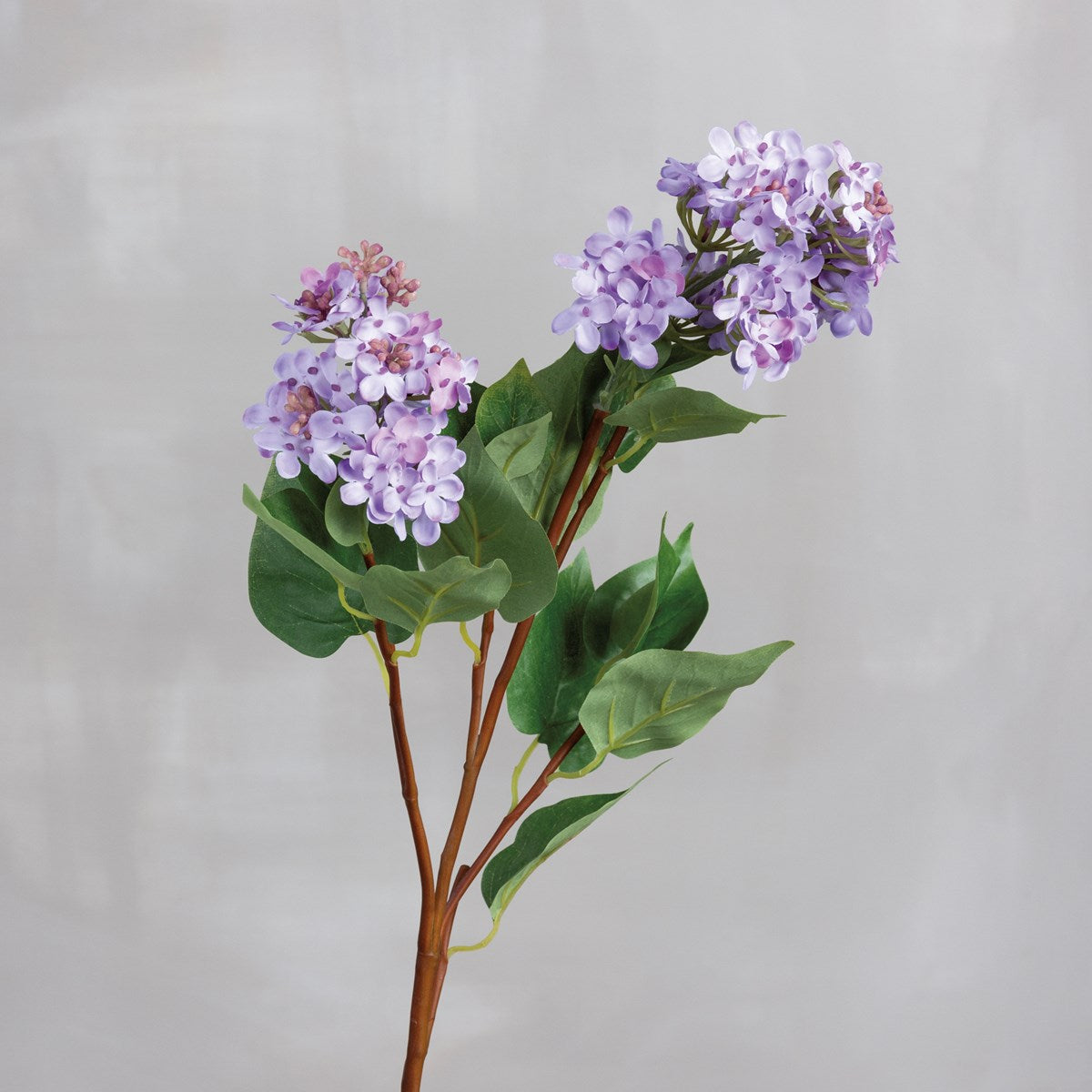 Lilac Pick
