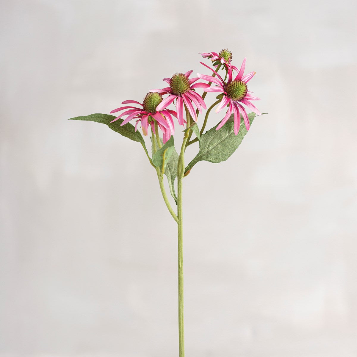 Pink Coneflower Pick