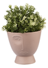 Modern Head Planter