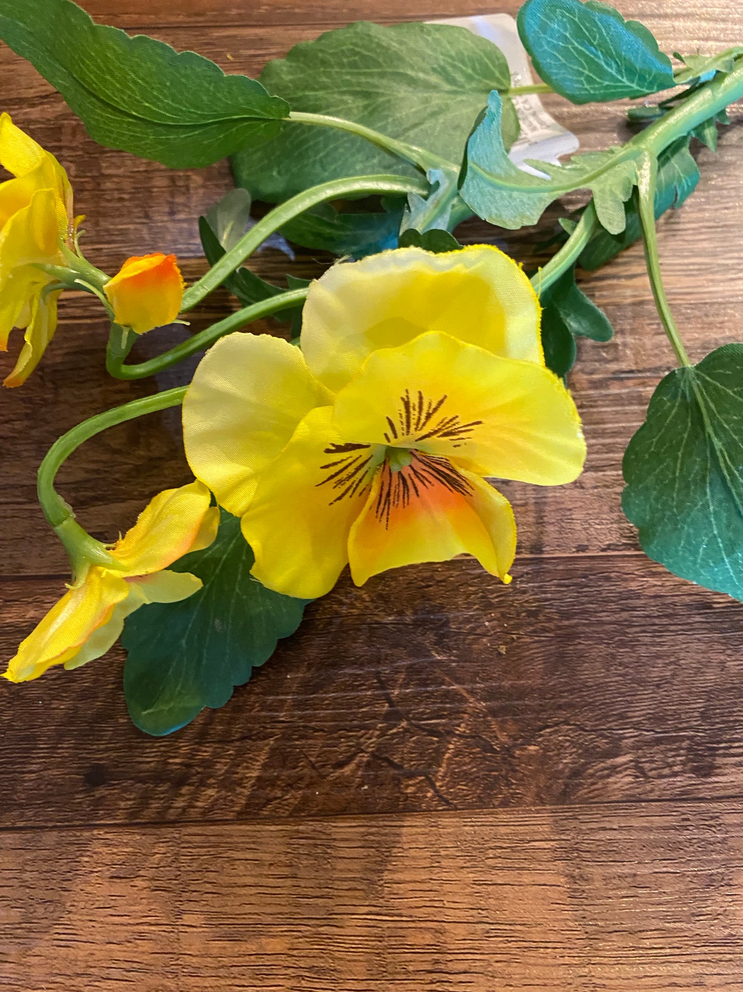 Pansy Spray