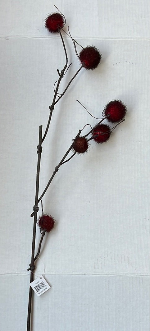 Fall Floral - Red Prickly Pod