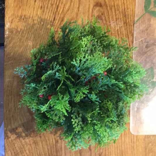 Coral Fern Half Orb