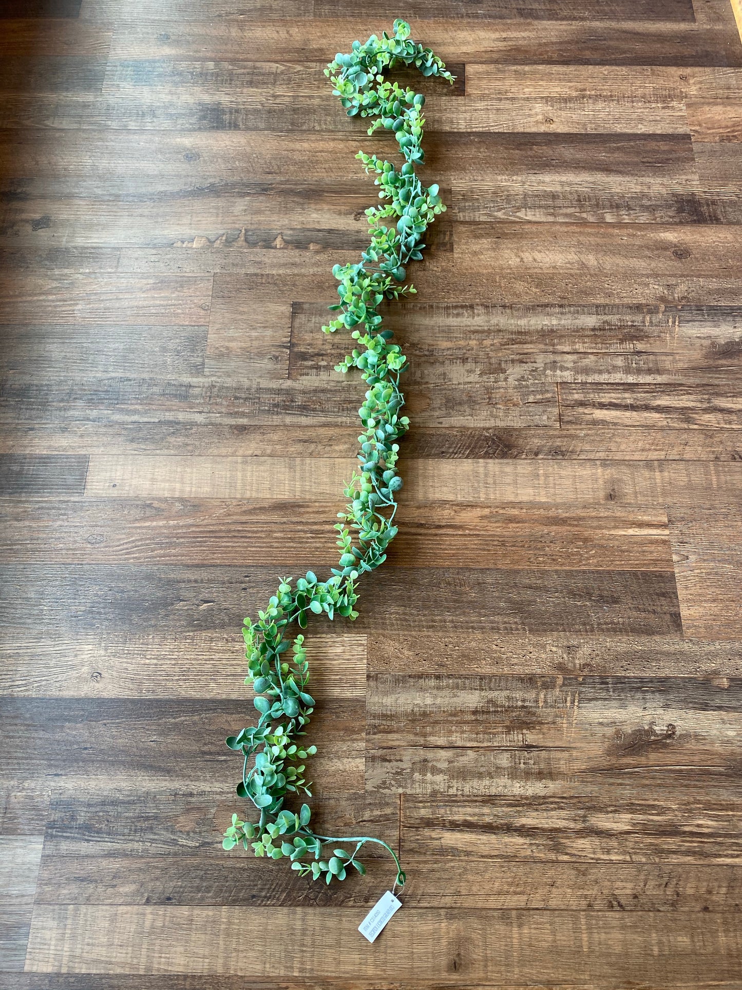 6’ frosted boxwood garland