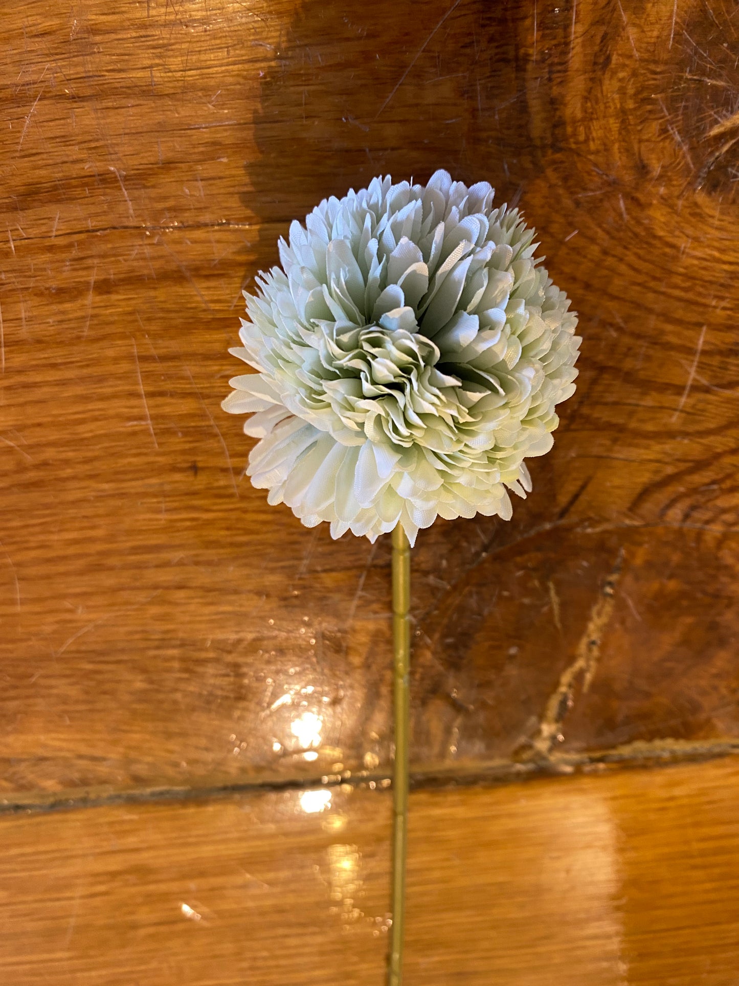 Chrysanthemum Ball Pick