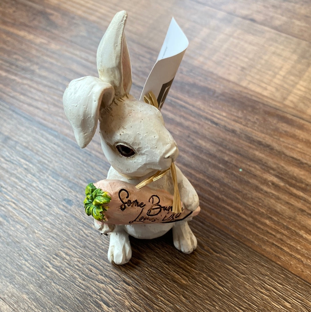 Bunny With Carrot and Message
