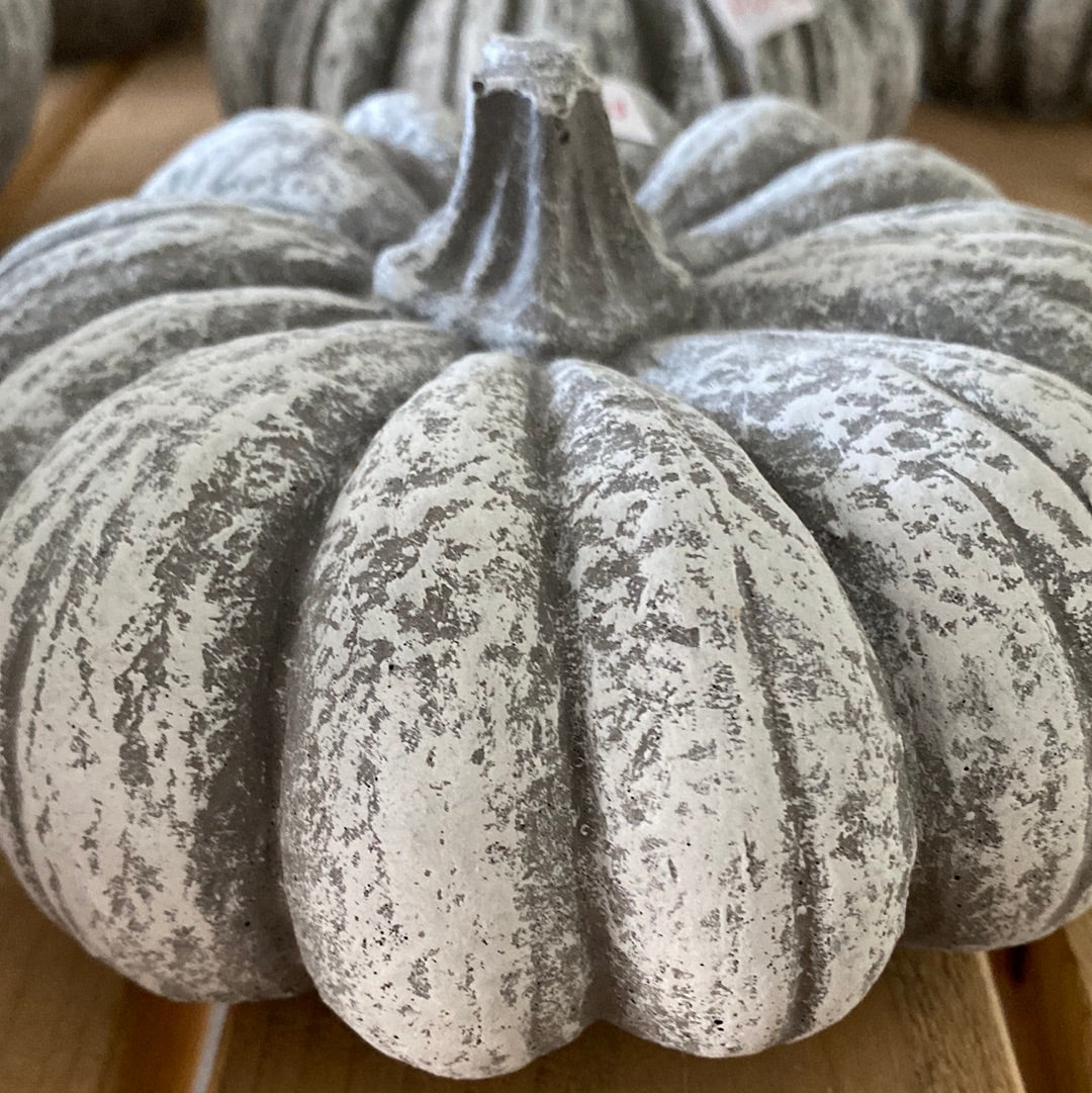 Cement Pumpkin 6