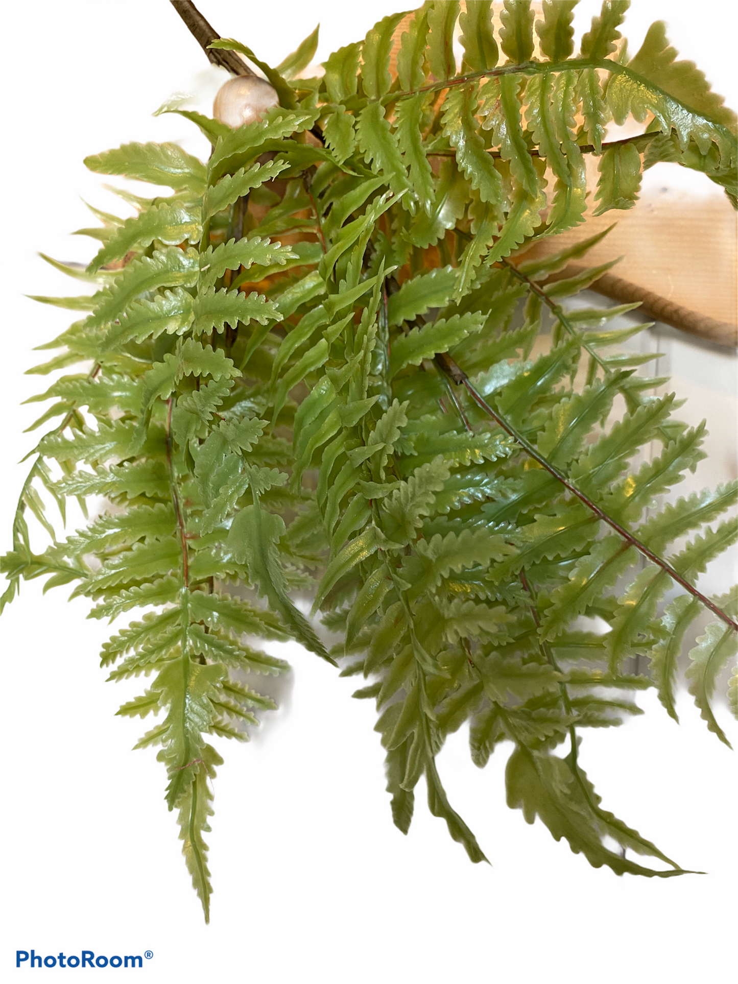 Light Green Fern Pick