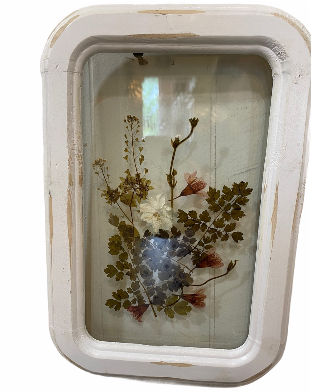 White Framed Pressed Botanicals Sign