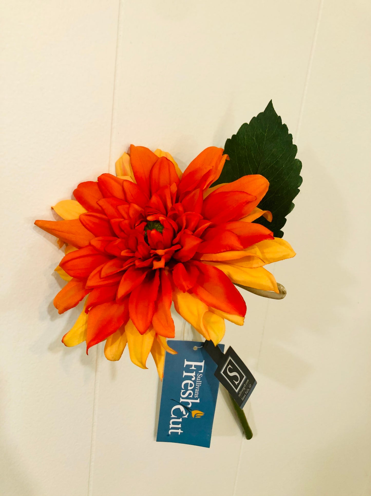 Orange Dahlia stem