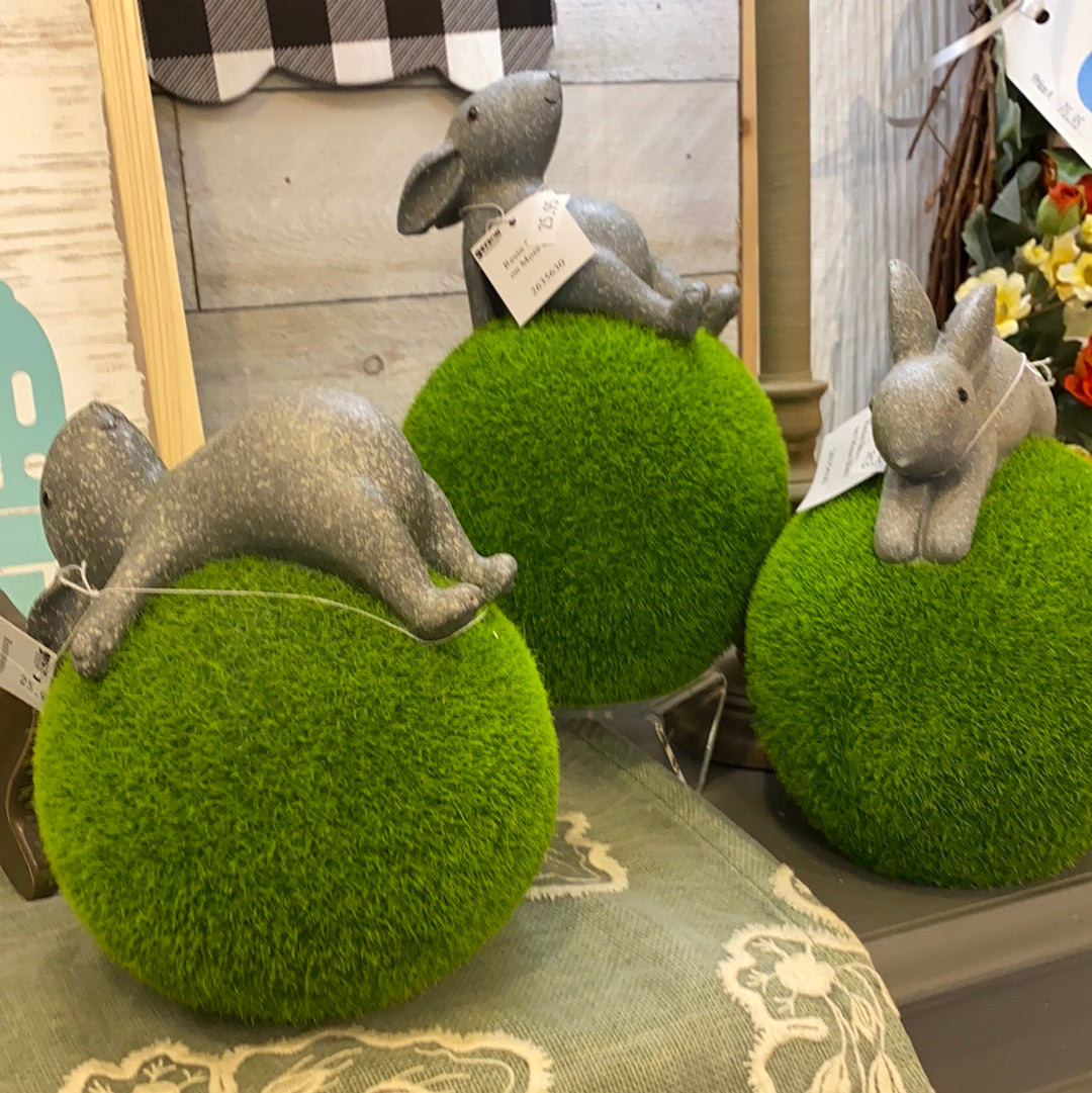 Bunny on Moss Ball