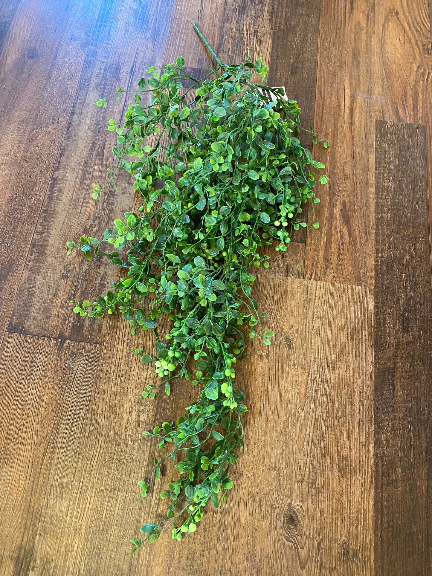 Smlex & Berry Hanging bush