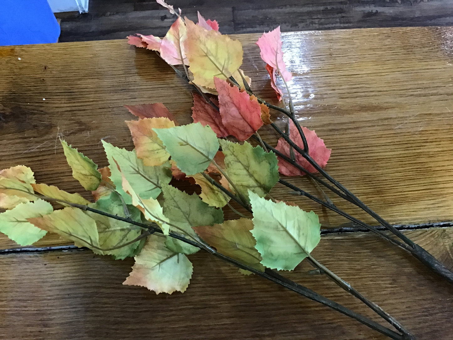Fall leaf spray