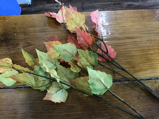 Fall leaf spray