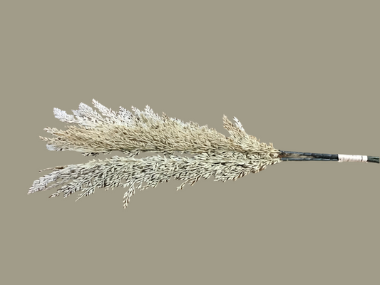 Amaranths spray