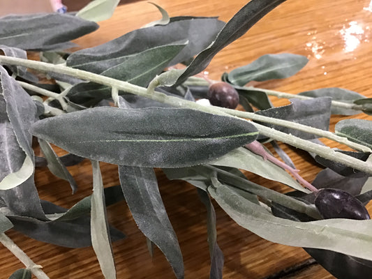Spanish olive branch